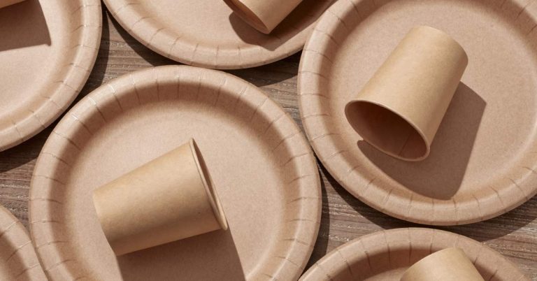 What Is the Best Knife for Cutting Meat and Bones? A Complete Expert Guide